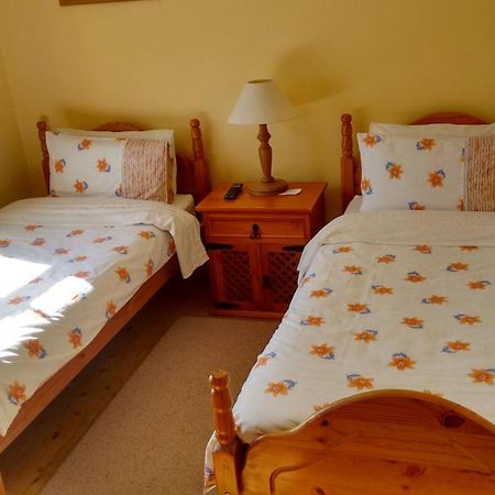 ウォーターフォード Grannagh Castle House Bed & Breakfast エクステリア 写真