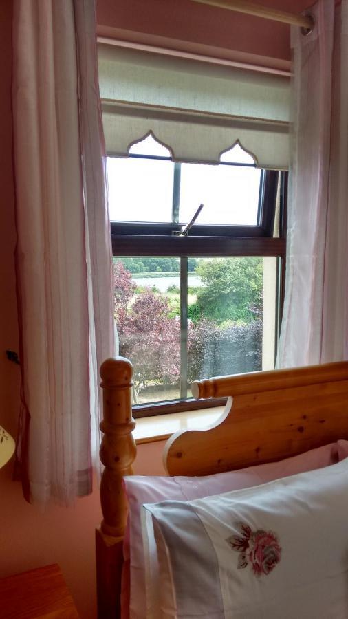 ウォーターフォード Grannagh Castle House Bed & Breakfast エクステリア 写真