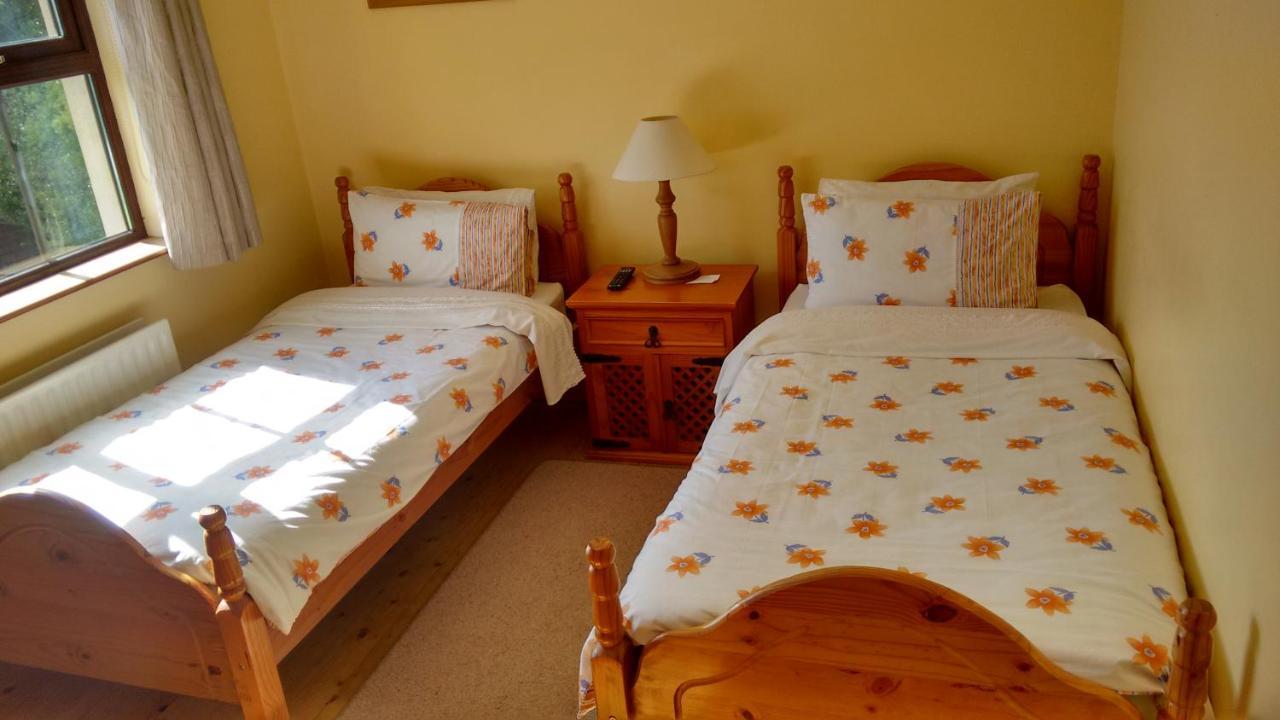ウォーターフォード Grannagh Castle House Bed & Breakfast エクステリア 写真