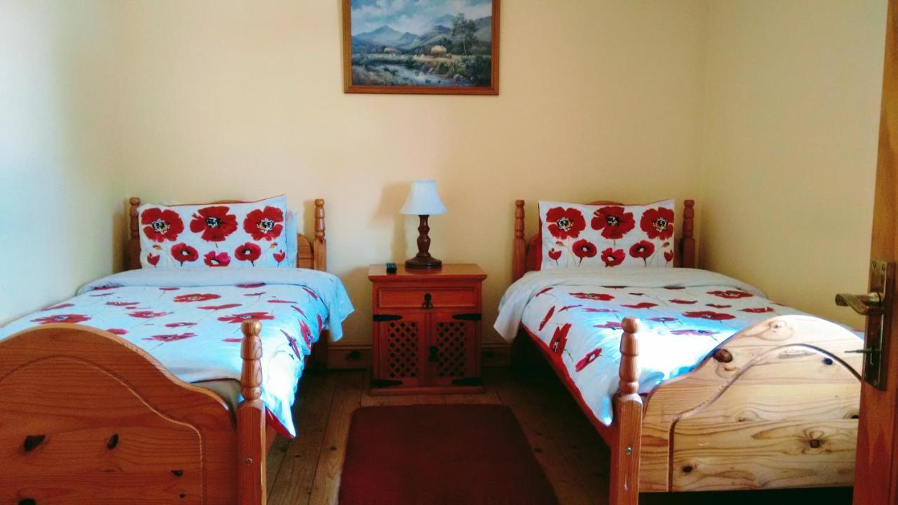 ウォーターフォード Grannagh Castle House Bed & Breakfast エクステリア 写真