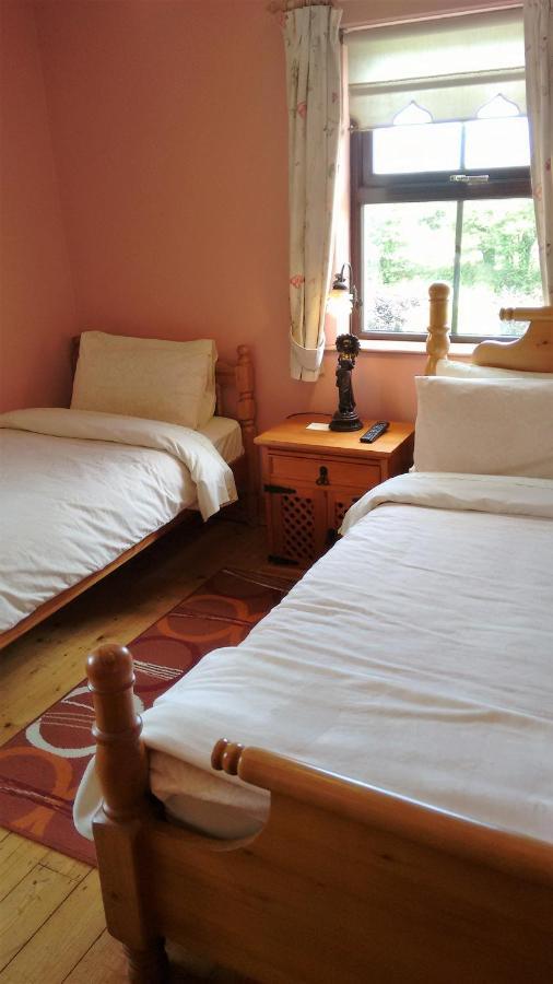 ウォーターフォード Grannagh Castle House Bed & Breakfast エクステリア 写真