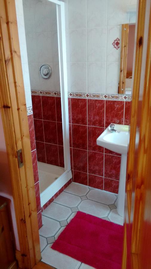 ウォーターフォード Grannagh Castle House Bed & Breakfast エクステリア 写真