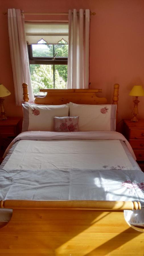 ウォーターフォード Grannagh Castle House Bed & Breakfast エクステリア 写真