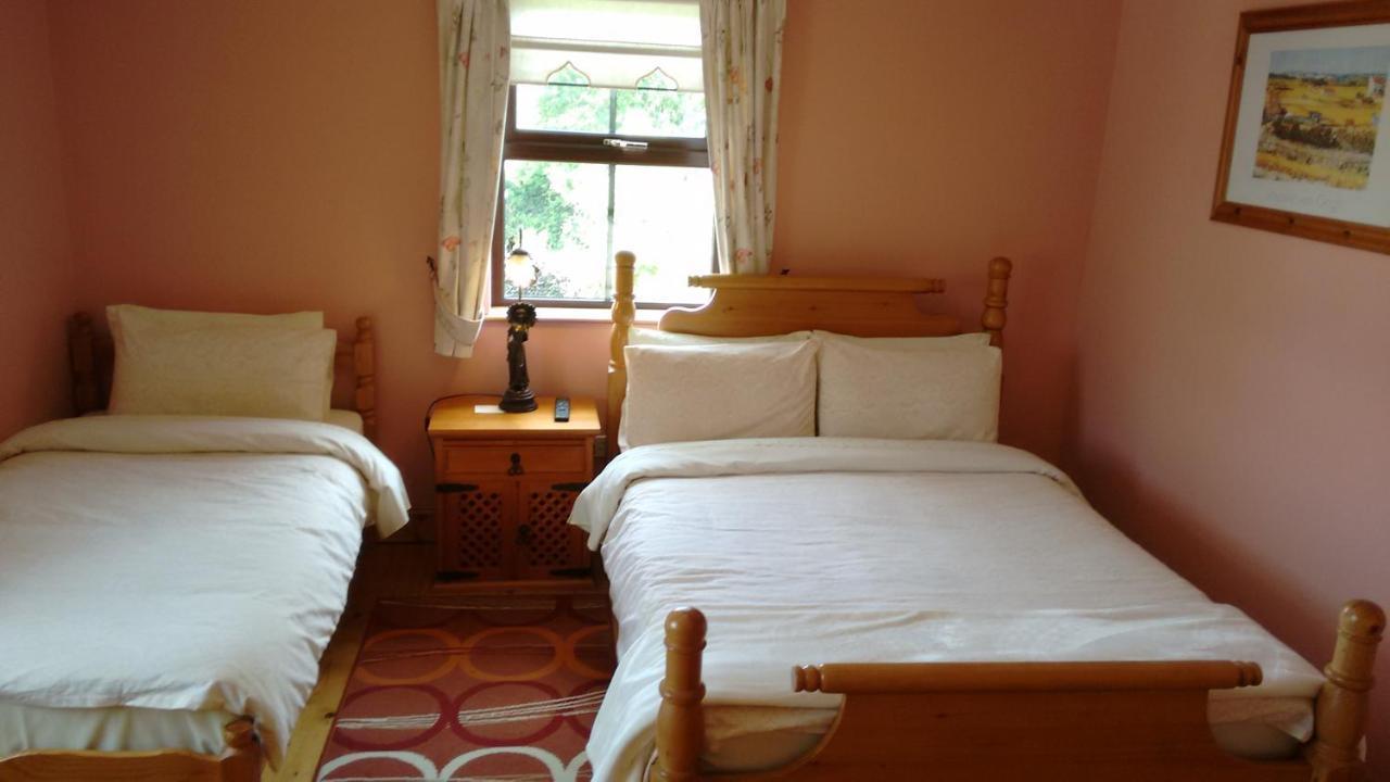 ウォーターフォード Grannagh Castle House Bed & Breakfast エクステリア 写真