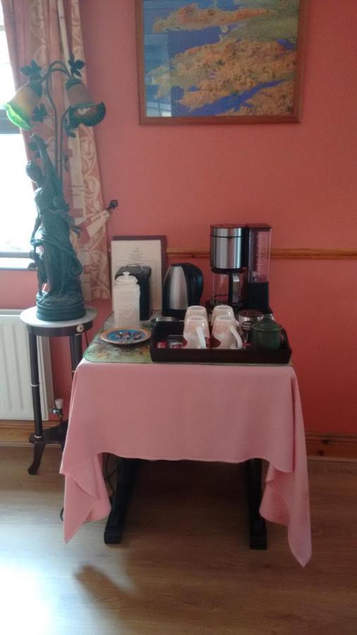 ウォーターフォード Grannagh Castle House Bed & Breakfast エクステリア 写真